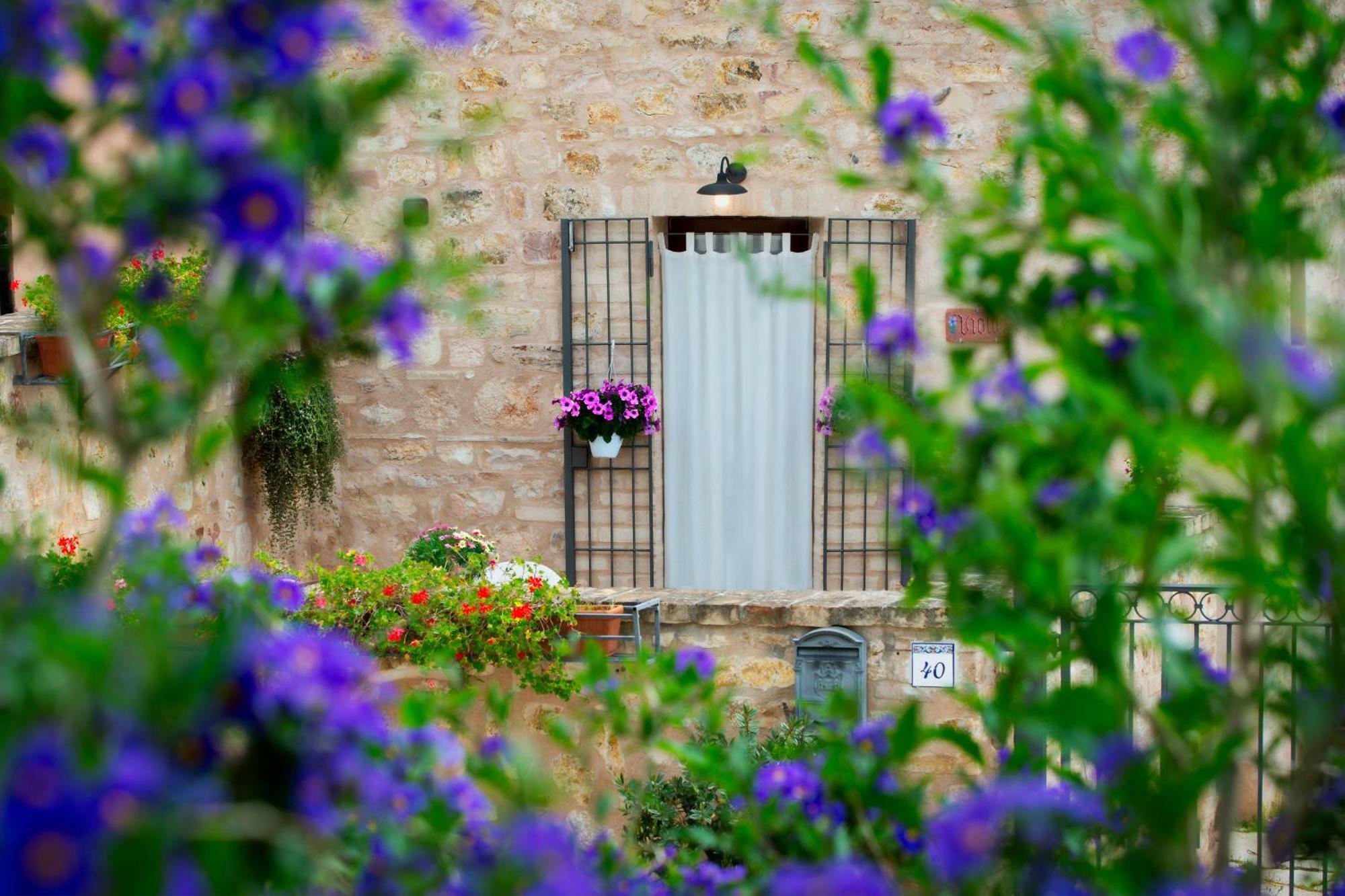 Le Terrazze Di Cancellara Holiday home Foligno